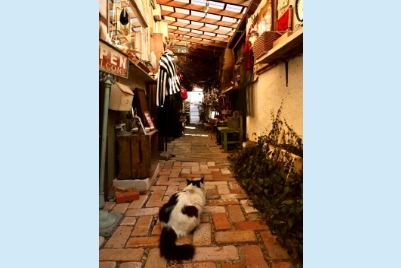 わたしのOFF